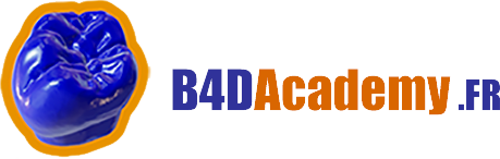 B4D Academy France